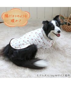 PET PARADISE ペットパラダイス ペティヒート Tシャツ 《苺柄》 中型犬 大型犬