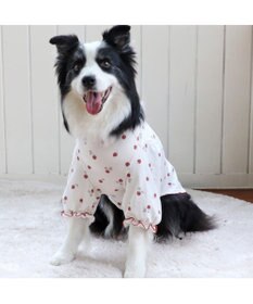 PET PARADISE ペットパラダイス ペティヒート Tシャツ 《苺柄》 中型犬 大型犬