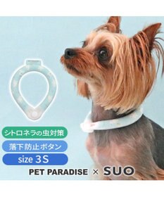 ペットパラダイス 28℃クールリング SUO 《くま柄》 〔3S