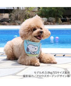 PET PARADISE スヌーピー クール バンダナ 《アイス柄》 小型犬