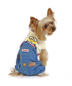 PET PARADISE ミニオン ボブ　パンツつなぎ 《オーバーオール 風》 小型犬