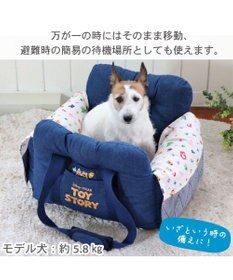 ディズニー トイ・ストーリー エイリアン柄 クール カドラー