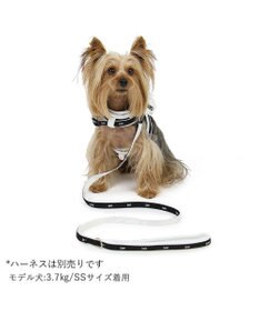 PET PARADISE  Lee 白テープ リード  小型犬 SS~S