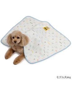 PET PARADISE ディズニー ダンボ キルトブランケット