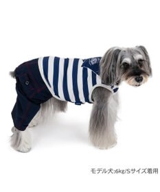 PET PARADISE J.PRESS エコメイドパンツつなぎ 小型犬