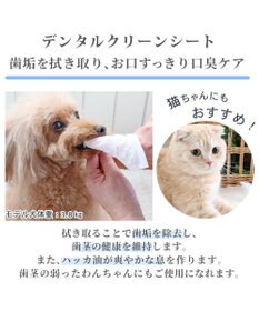PET PARADISE 《リニューアル》デンタルクリーン シート(60枚入)  国産