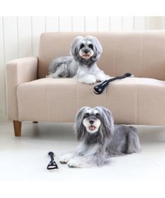 PET PARADISE ペットパラダイス うなぎ ロープトイ 《小》