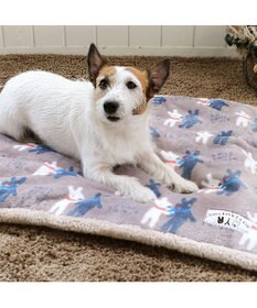 PET PARADISE リサとガスパール 遠赤外線 ボアマット 《 であい柄 》 (80×60cm)