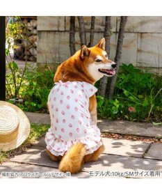 PET PARADISE ペットパラダイス タッチワンクールプラス Tシャツ 《いちご》 中型犬 大型犬