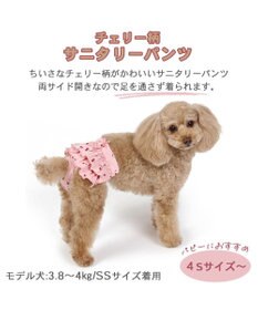 PET PARADISE 犬の服 犬 サニタリーパンツ 【小型犬】 チェリー柄