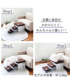 PET PARADISE 犬 ステップ 階段 スヌーピー 3段 ステップ 収納付きフレンズ柄