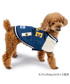 PET PARADISE Lee キルト スタジャン 小型犬