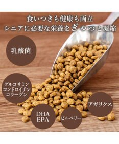 PET PARADISE ビオキッチン エイジングネオ ５００ｇ