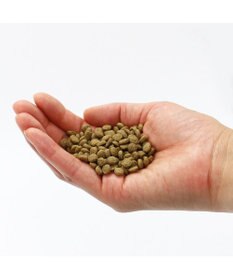 PET PARADISE ペットパラダイス 国産 ドッグフード ビオキッチン 1kg