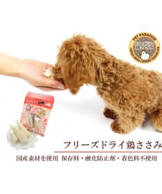 PET PARADISE 鶏ささみフリーズドライ 大袋 55g 国産