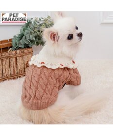 PET PARADISE ペットパラダイス バイカラー ニット 《ピンク》 小型犬