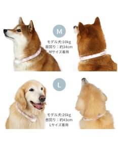 PET PARADISE ペットパラダイス 28℃クールリング  《くま》 M 大型犬