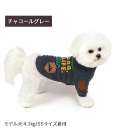 PET PARADISE ペットパラダイス ペティヒート プレミアム トレーナー 《チャコールグレー》 小型犬