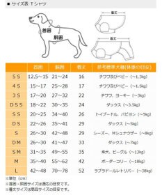人気ブランド ペットパラダイス Tシャツ 《バンド柄》【小型犬】 / PET 犬服・アクセサリー