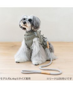 PET PARADISE ペットパラダイス ペタルオリーブ ベストハーネス ＳＳ 小型犬