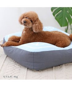 PET PARADISE ペットパラダイス  もちもち クールクッション