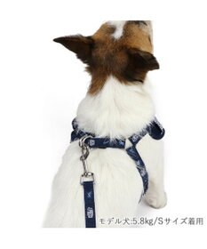 PET PARADISE J.PRESS ギンガムチェック ハーネス&リード   ３Ｓ 小型犬