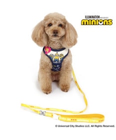 PET PARADISE 犬 ハーネス リード デニム ミニオン 【３Ｓ】 ハーネスリード
