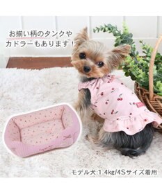PET PARADISE 犬の服 犬 サニタリーパンツ 【小型犬】 チェリー柄