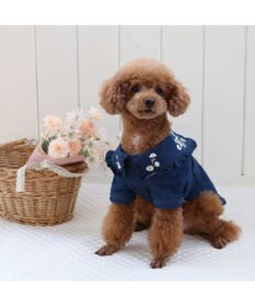 PET PARADISE ペットパラダイス 刺繍BIG襟 ジャケット 小型犬