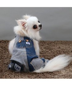 PET PARADISE Ｌｅｅ パッチワーク オーバーオール パンツつなぎ【小型犬】