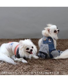 PET PARADISE Ｌｅｅ パッチワーク オーバーオール パンツつなぎ【小型犬】