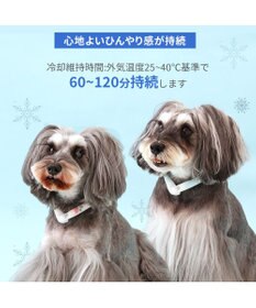 PET PARADISE ペットパラダイス 28℃クールリング SUO 《いちご柄》 〔Ｌ〕 大型犬