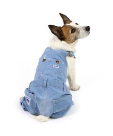楽天市場】名入れ 犬服 デニム ジャケット 小型犬用 (ベスト