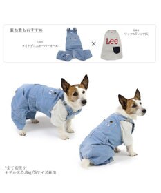 Amazon | ペットパラダイス 犬 服 Lee ホワイト デニム