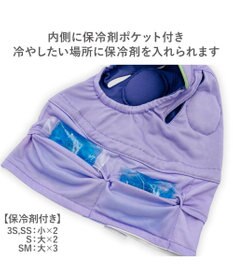 PET PARADISE ディズニー トイ・ストーリー バズ 保冷付き帽子 ＳＭ 中型犬
