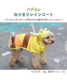 PET PARADISE  ペットパラダイス レインコート 《蜂》小型犬★