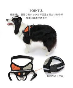 PET PARADISE ヘッドインハーネス  【Ｍ】オレンジ / ブルー 【中型犬 大型犬】