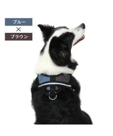 PET PARADISE ヘッドインハーネス  【Ｍ】オレンジ / ブルー 【中型犬 大型犬】