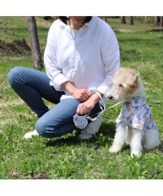 PET PARADISE ペットパラダイス 伸縮リード 《いちご柄 / ロゴ柄 》【小型犬】軽量 ロック式