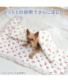 PET PARADISE ペットパラダイス もちっと クール ブランケット 《苺柄》
