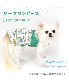オーダーメイド犬服。夏用、接触冷感生地。オーダーお受け致します。 24-09218-1_2.jpg