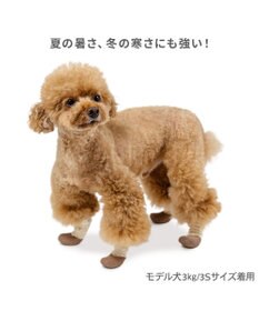 PET PARADISE ペットパラダイス フリル フィット靴 Ｓ