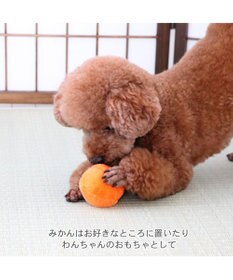PET PARADISE ペットパラダイス こたつハウス 《お花柄》 50cm