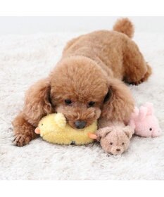 PET PARADISE  ペットパラダイス ふわふわ トイ《くま》