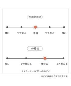 PET PARADISE ディズニー ミニーマウス アンティーク柄 ワンピース 【小型犬】