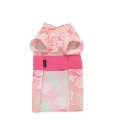PET PARADISE ペットパラダイス 絞り風 浴衣 《朝顔》 小型犬