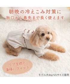 PET PARADISE ペットパラダイス ミニリボン プレミアム ペティヒート ワンピース 小型犬
