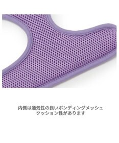 PET PARADISE ディズニー トイ・ストーリー ロッツォ マスコット付き ハーネス S 小型犬