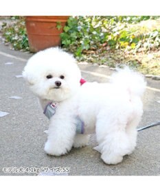 PET PARADISE ディズニー トイ・ストーリー ロッツォ マスコット付き ハーネス S 小型犬