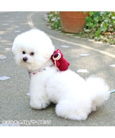 PET PARADISE ディズニー トイ・ストーリー ロッツォ マスコット付き ハーネス S 小型犬